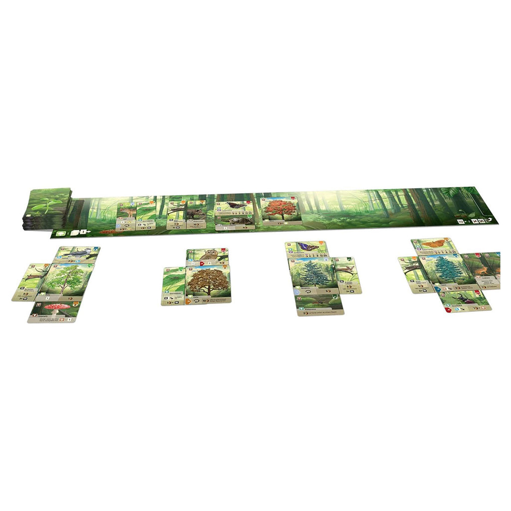Forest Shuffle - Strategic Nature Card Game for 2€‘5 Players