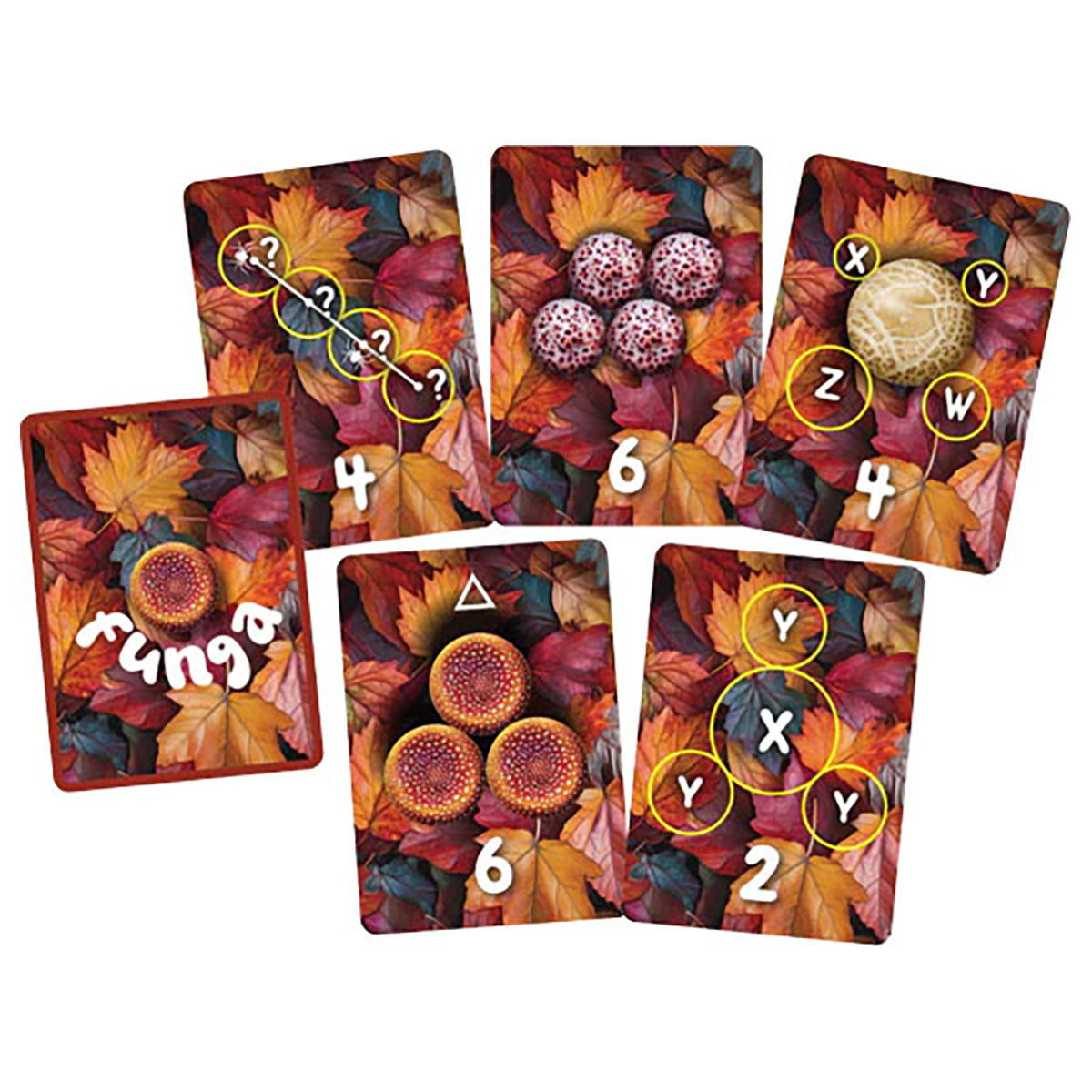 Flora Funga Game