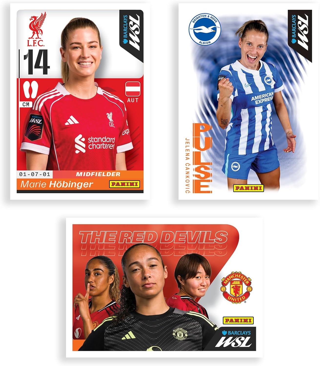 Panini WSL 2025/26 stickers assortment