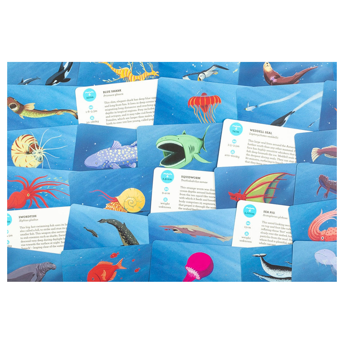 Deep Sea Discovery Card Game