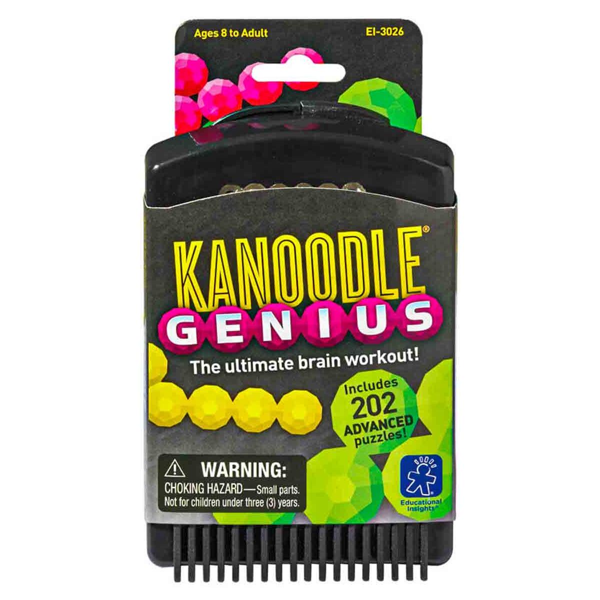 Kanoodle Genius Puzzle Game