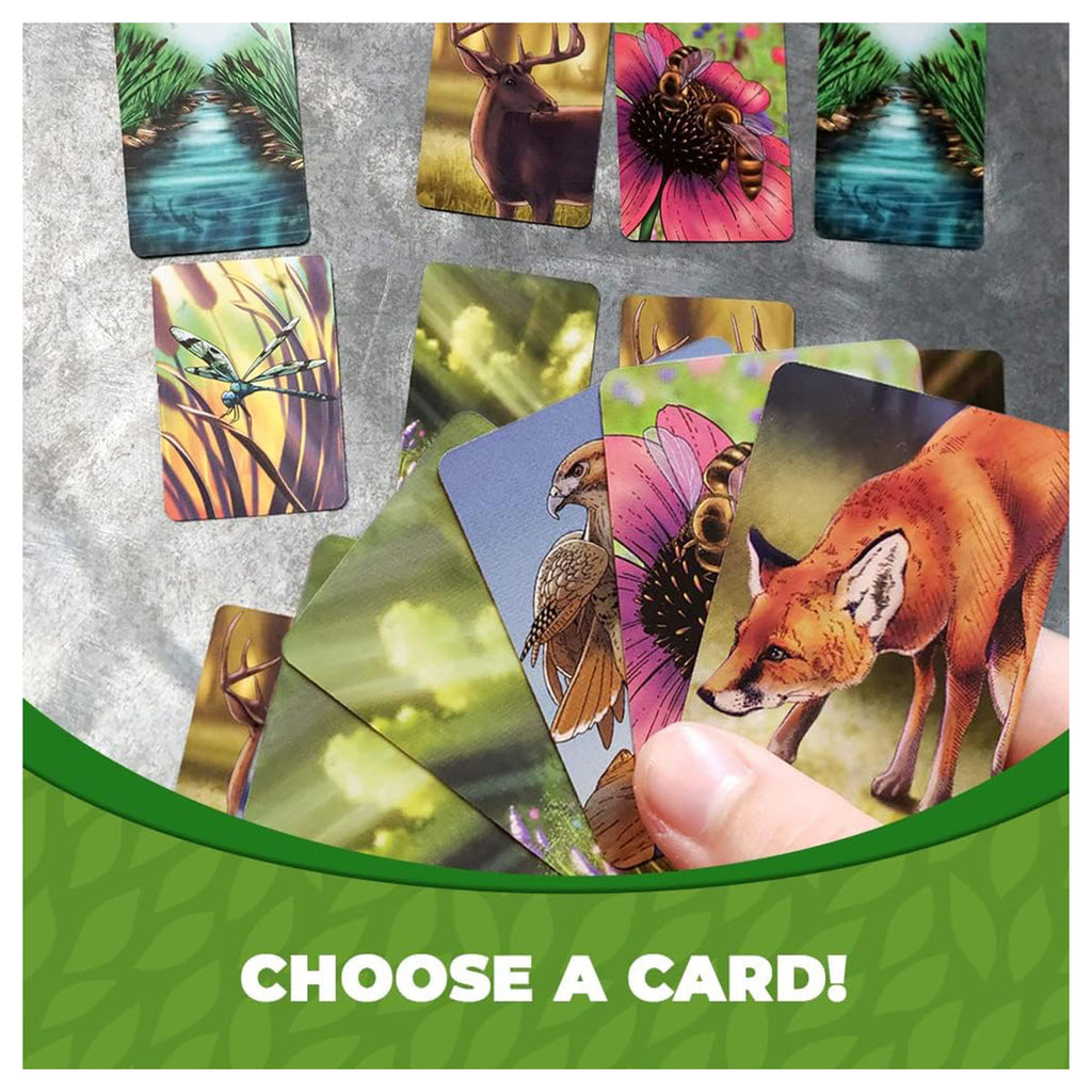 Ecosystem Game