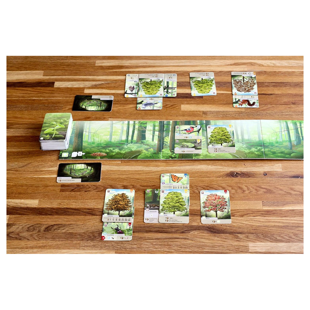 Forest Shuffle - Strategic Nature Card Game for 2€‘5 Players