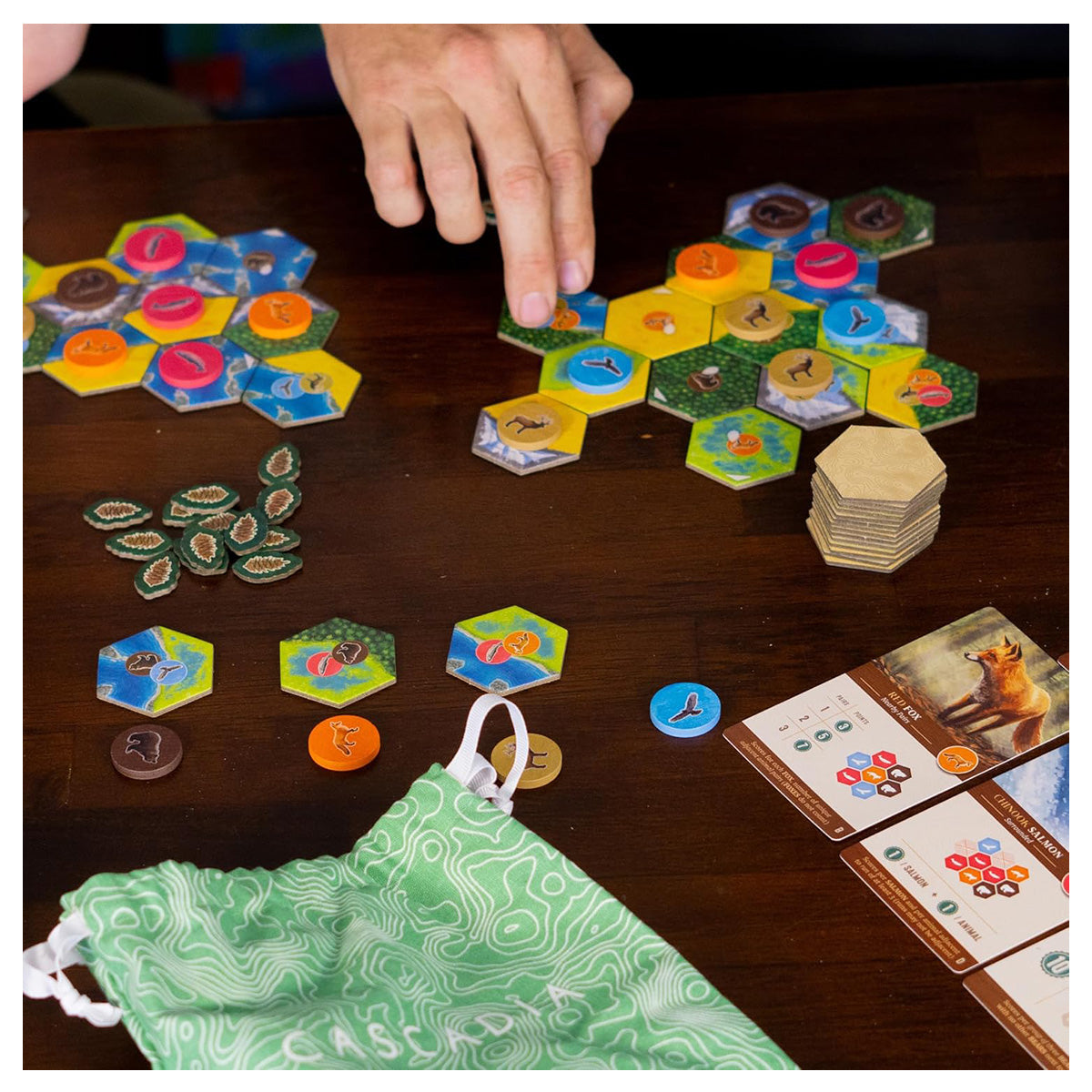 Cascadia nature themed strategy board game setup