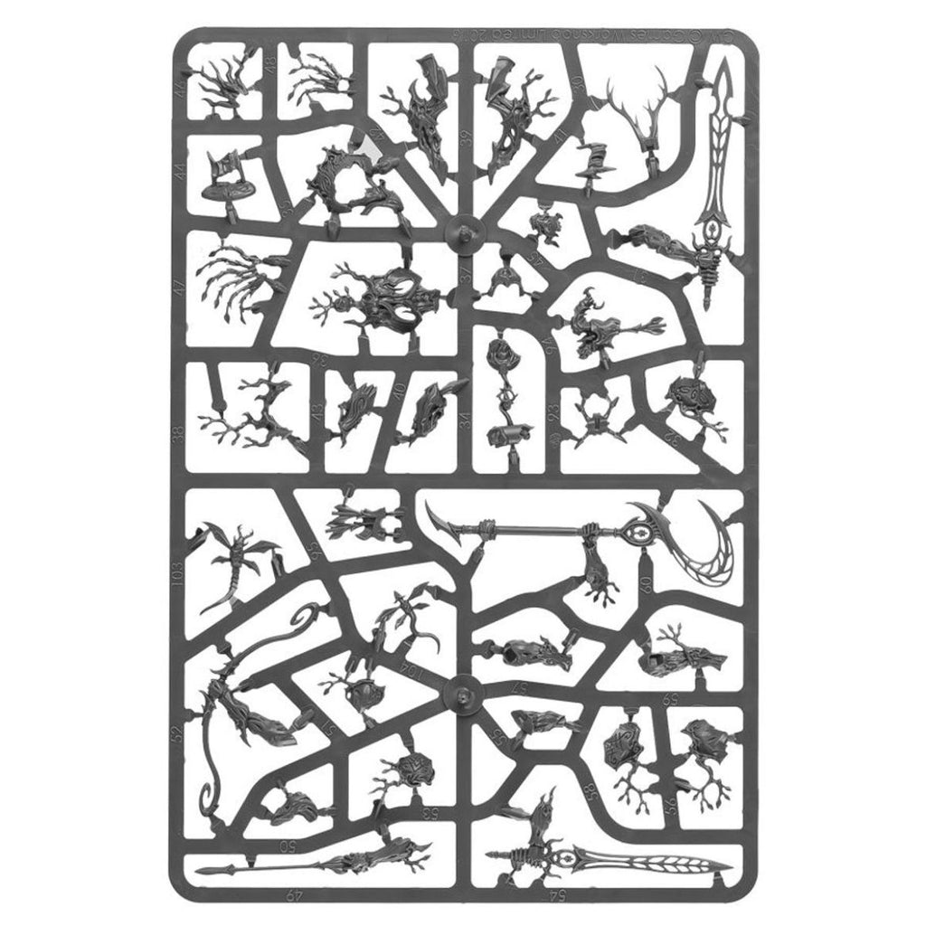 Sylvaneth: Kurnoth Hunters Warhammer 40k