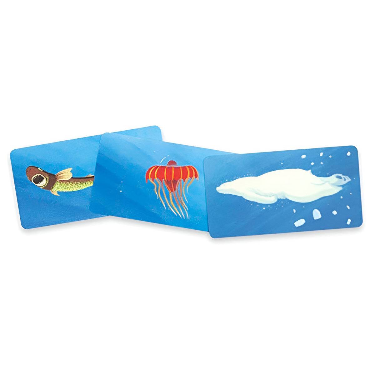 Deep Sea Discovery Card Game