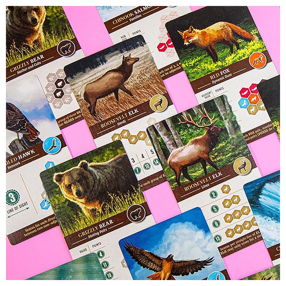 Cascadia gameplay tiles wildlife tokens layout